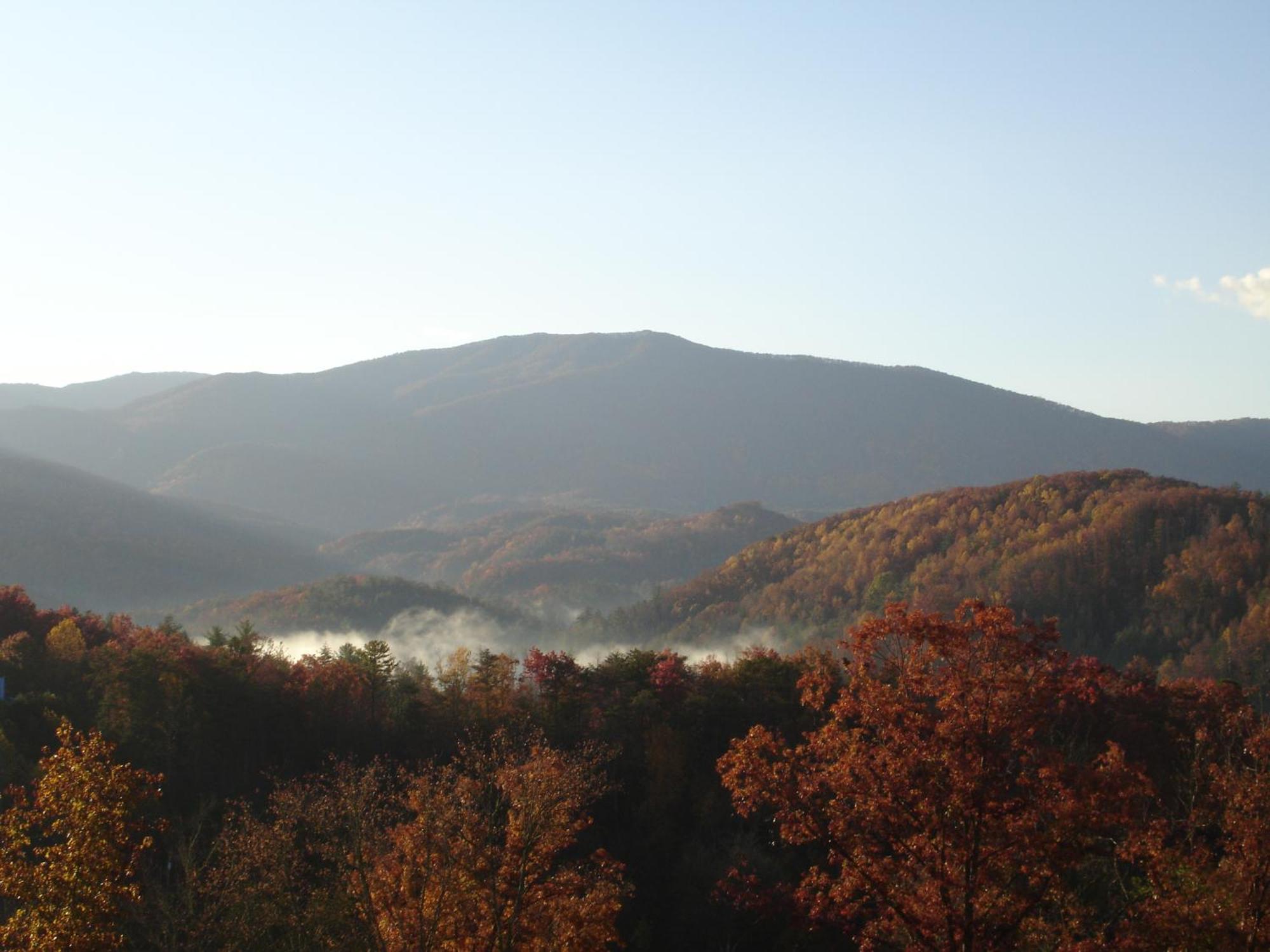 Bear Necessities, Luxury 5Bd Mtn Views, Hot Tub, Many Bear Sightings Villa Gatlinburg Exterior photo