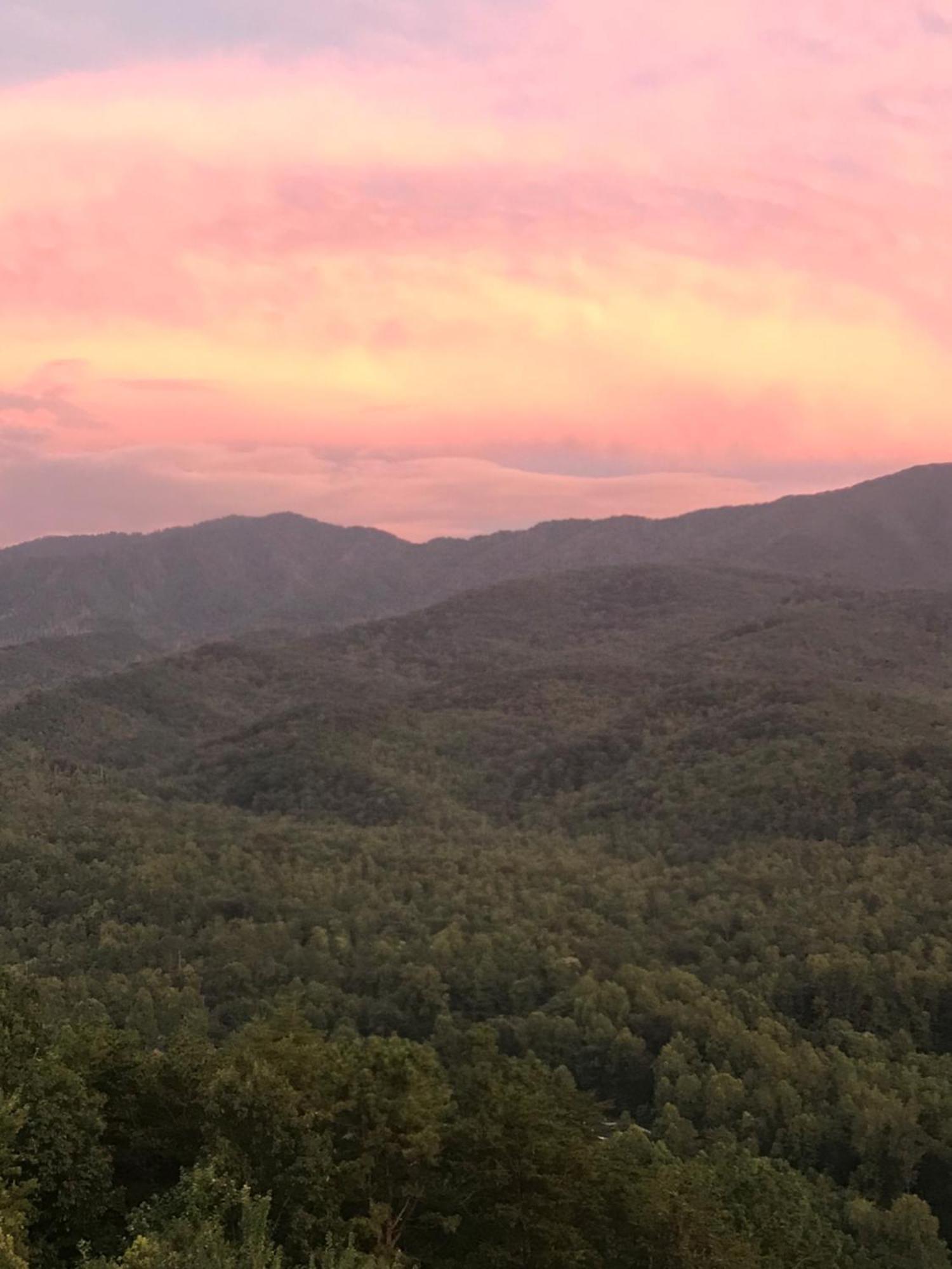 Bear Necessities, Luxury 5Bd Mtn Views, Hot Tub, Many Bear Sightings Villa Gatlinburg Exterior photo