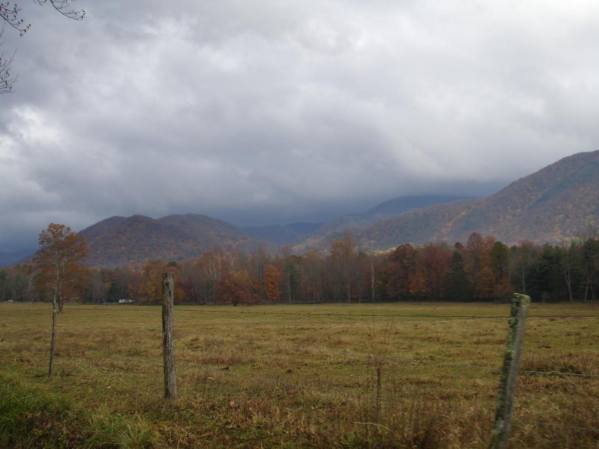 Bear Necessities, Luxury 5Bd Mtn Views, Hot Tub, Many Bear Sightings Villa Gatlinburg Exterior photo