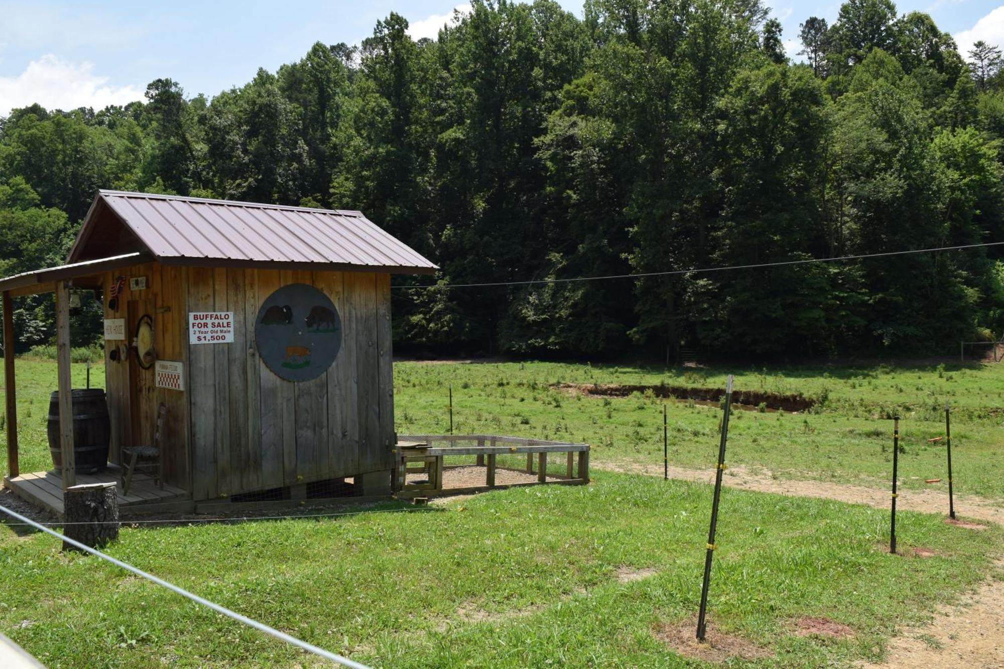 Bear Necessities, Luxury 5Bd Mtn Views, Hot Tub, Many Bear Sightings Villa Gatlinburg Exterior photo